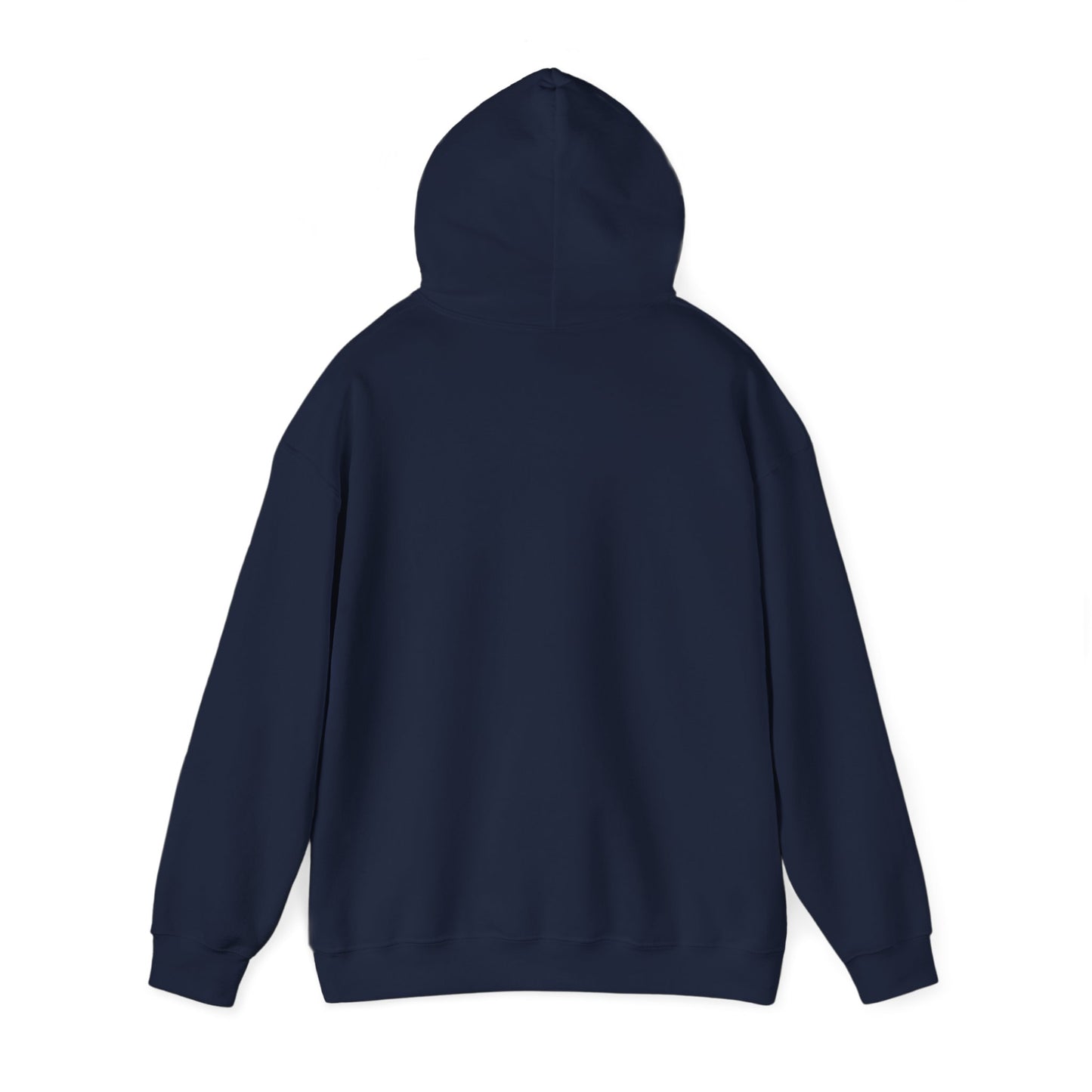 Back The Ballot For Better Education Hoodies, AR Kids Hoodies, School Hoodies