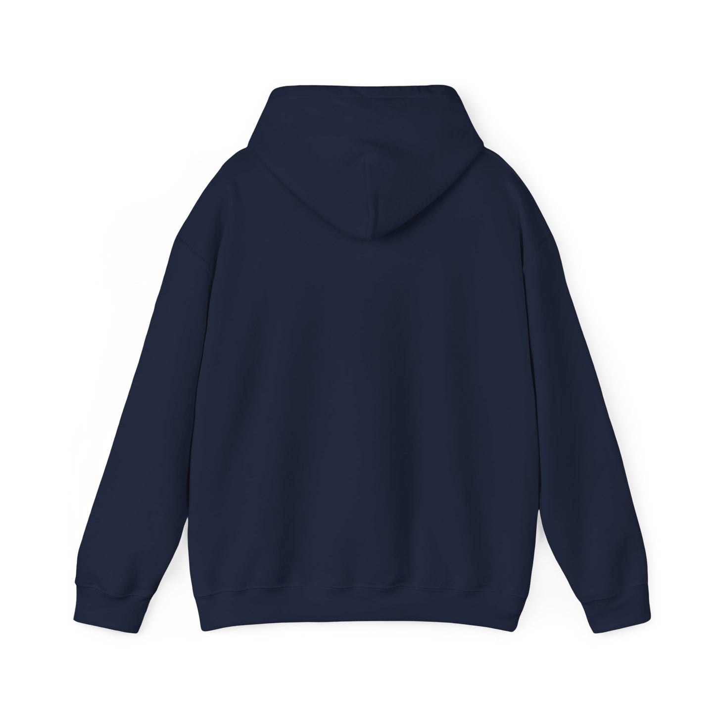 Back The Ballot For Better Education Hoodies, AR Kids Hoodies, School Hoodies